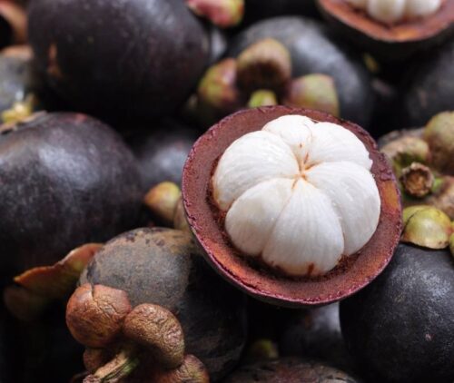 Mangosteen Khao Lak